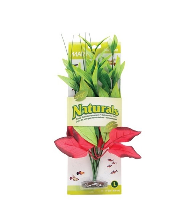Marina Naturals Red & Green Pickerel Silk Plant Large 13-14in
