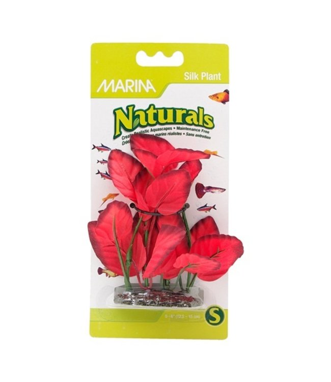 Marina Naturals Red Foreground Silk Plant 5-6in