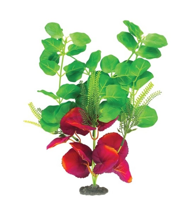Marina Naturals Green & Deep Red Moneywort Silk Plant Large 13-14in