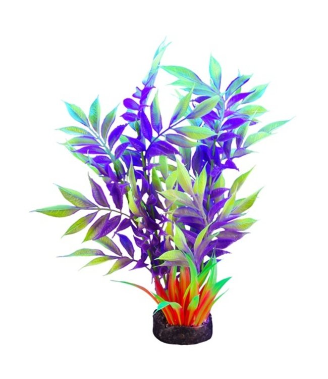 Marina iGlo Plant Purple/Green/Red - 19 cm (7.5 in)