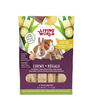 Living World Small Animal Chews Sugarcane Stalk Sticks 4 pieces