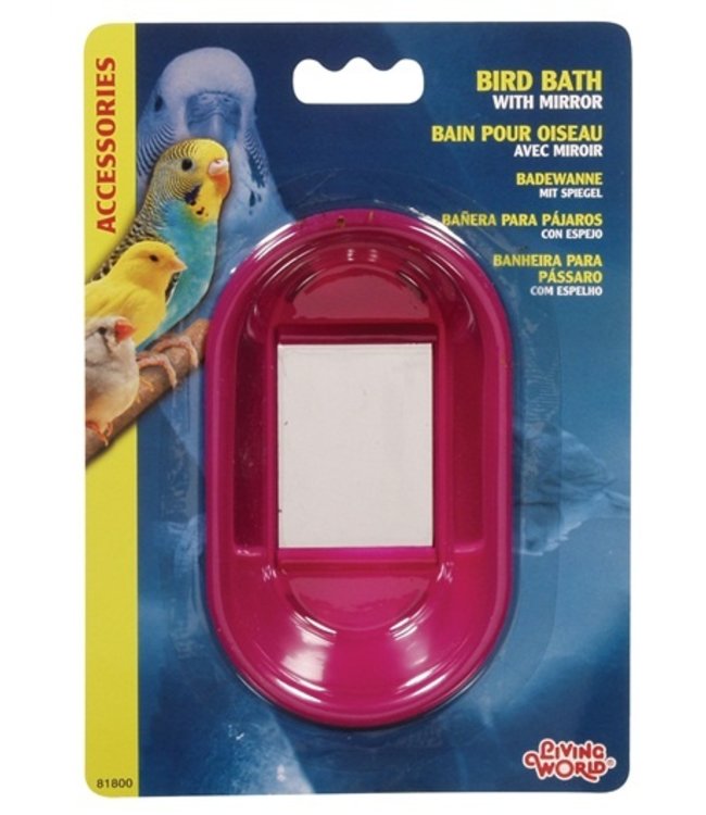 Living World Oval Bird Bath with Mirror