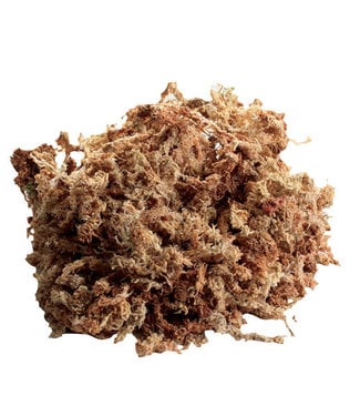 Zoo Med New Zealand Sphagnum Moss 80 cu. in.