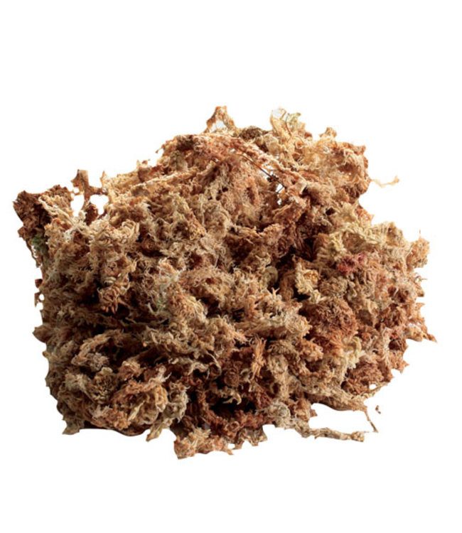 Zoo Med New Zealand Sphagnum Moss 80 cu. in.