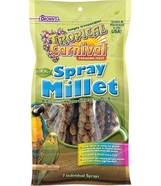 Tropical Carnival Tropical Carnival Browns Tropical Carnival Natural Spray Millet 7pcs