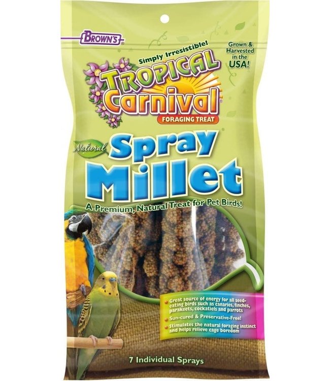 Tropical Carnival Tropical Carnival Browns Tropical Carnival Natural Spray Millet 7pcs