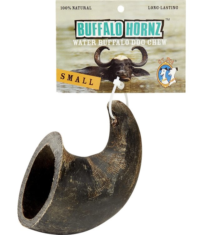 Are Water Buffalo Horns Safe For Dogs To Chew