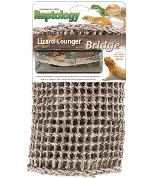 Penn-Plax Lizard Lounger Bridge