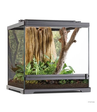 Exo Terra Dart Frog Terrarium - Advanced Amphibian Habitat - Small/Wide - 18in x 18in x 18in