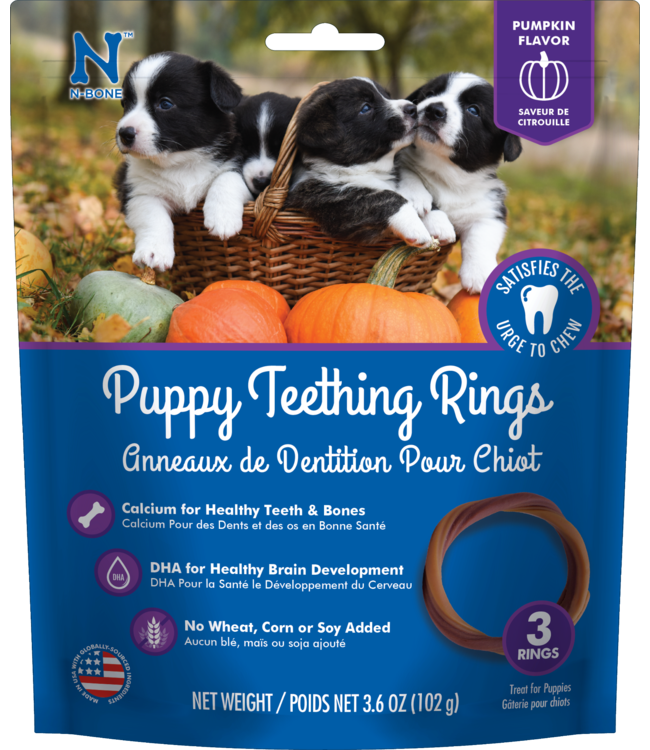 N-Bone Puppy Teething Ring Pumpkin Flavor 3pk