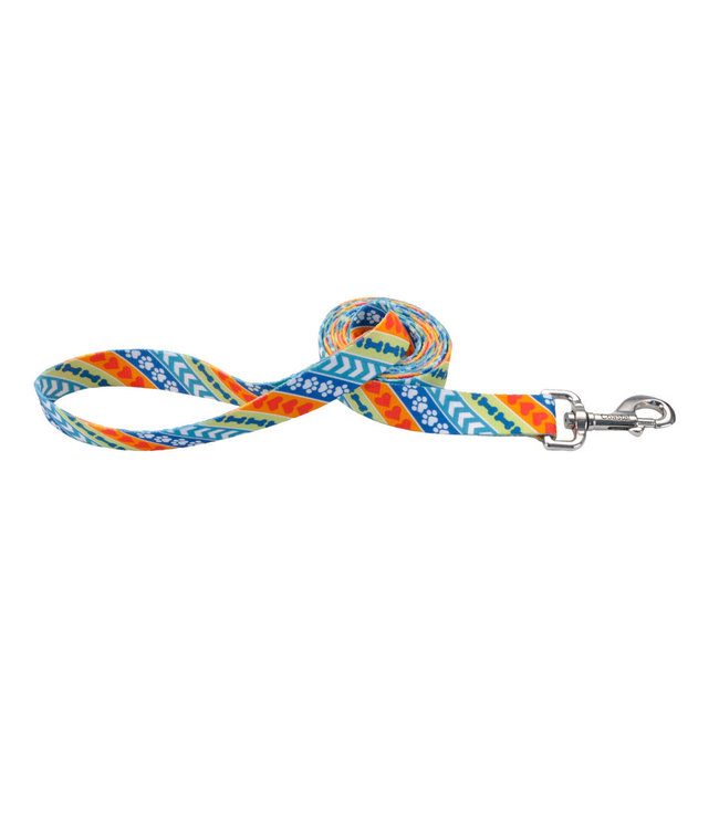 Coastal Styles Leash for Dogs Resolve Print 5/8 in x 6 ft