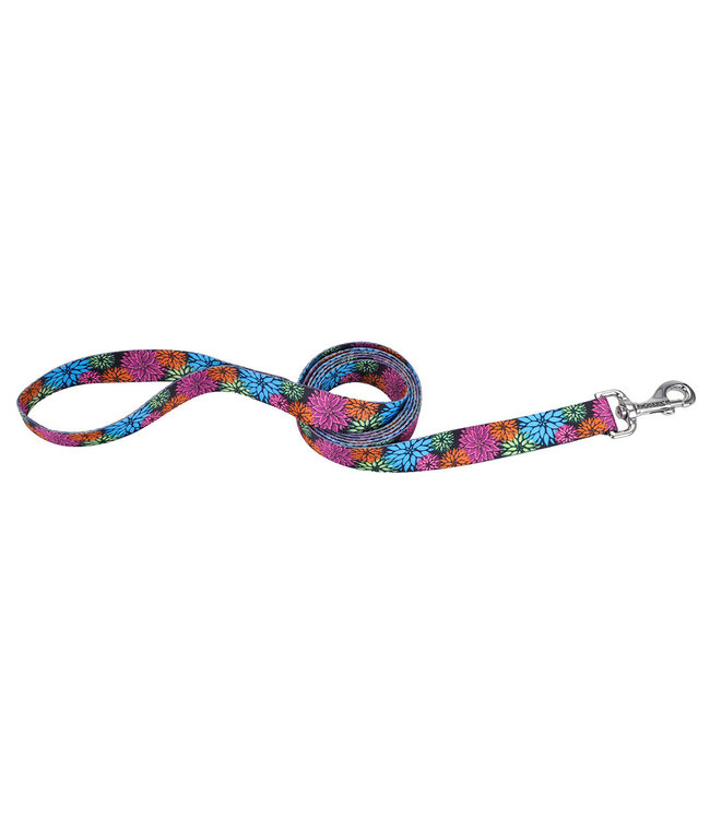 Coastal Styles Leash for Dogs Wild Flower Print 1 in x 6 ft
