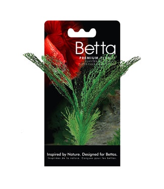 Fluval Betta Premium Madagascar Lace Plant 6 in (15 cm)