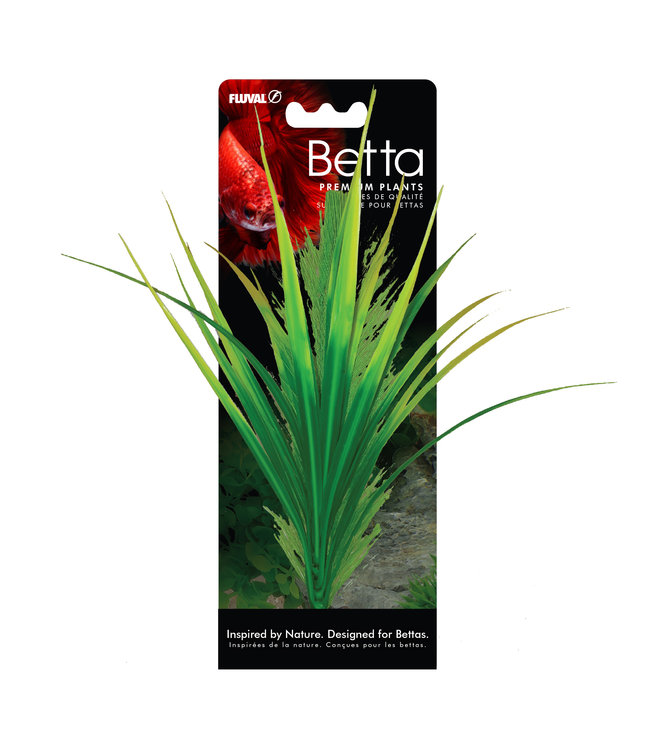 Fluval Betta Premium Yellow Parrot Plant 8 in (20 cm)
