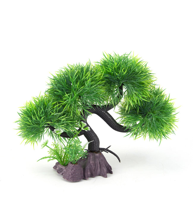 Bonsai - Green Spiky 11in