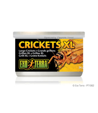 Exo Terra Exo Terra Crickets X Large 34 g (1.2 oz)