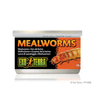 Exo Terra Exo Terra Mealworms 34 g (1.2 oz)