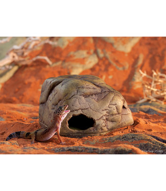 Exo Terra Exo Terra Gecko Cave - Medium