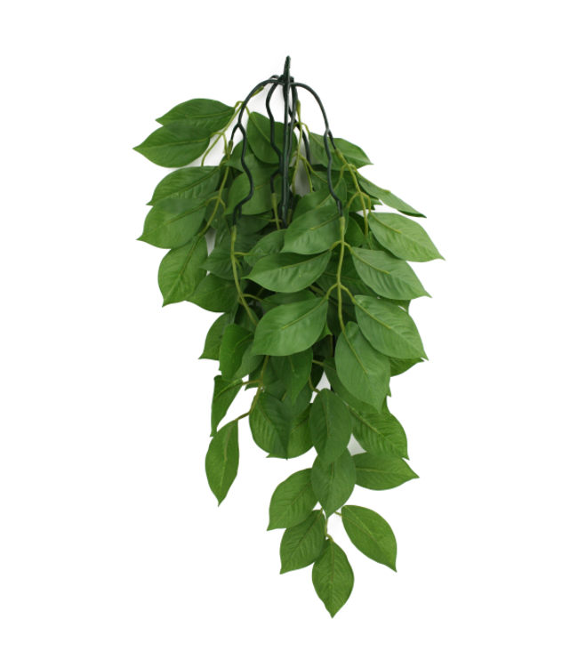Komodo Climbing Plant Green Leaf 16in