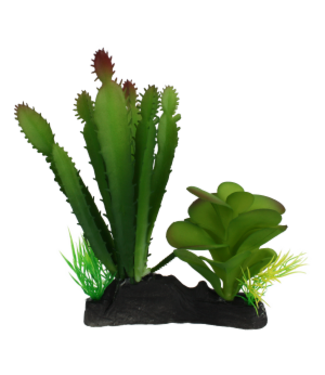 Komodo Komodo Cactus and Succulent Plant Decor with Natural Looking Rock Weighted Base - 6.4 in  Tall
