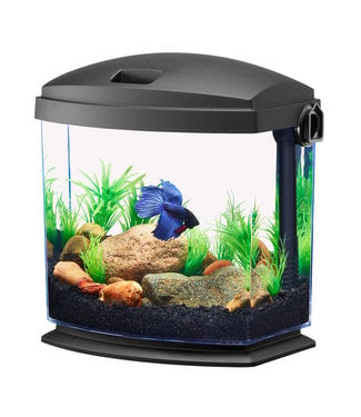 Aqueon Aqueon BettaBow Aquarium Kit 1 Gallon