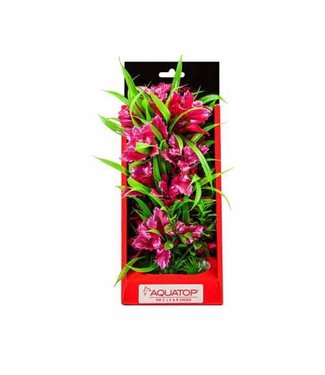 Aquatop Boxed Vibrant Passion Rose 10 inch Weighed Base Plant