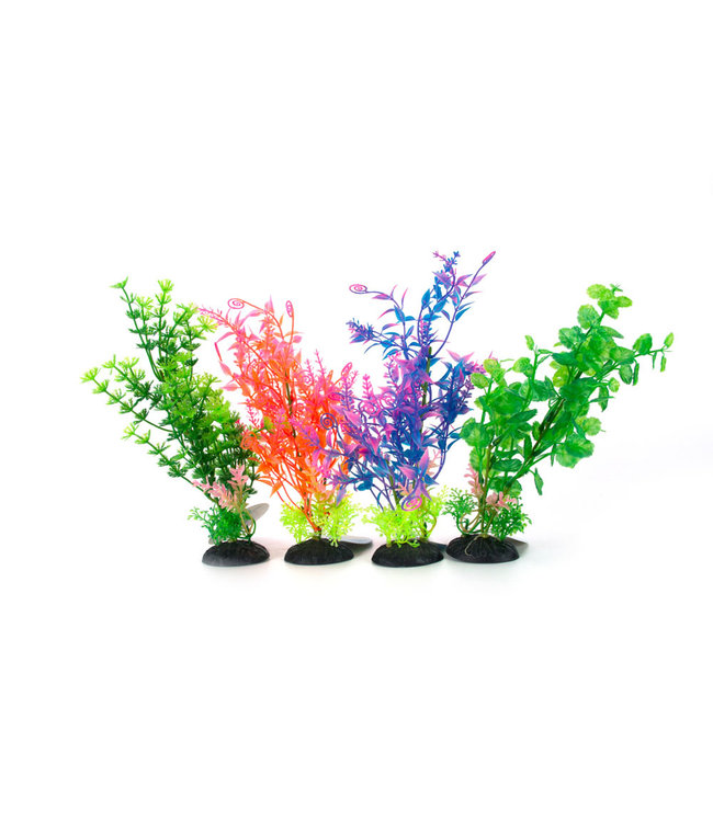 Aqua-fit Assorted Anacharis Plastic Plant 5in