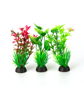 Aqua-fit Assorted Plastic Plant 3pk 3in