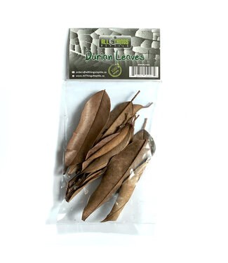 All Things Reptile Durian Leaves 10 pk