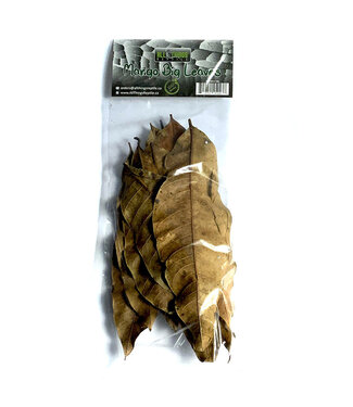 All Things Reptile Mango Big Leaves 10 pk