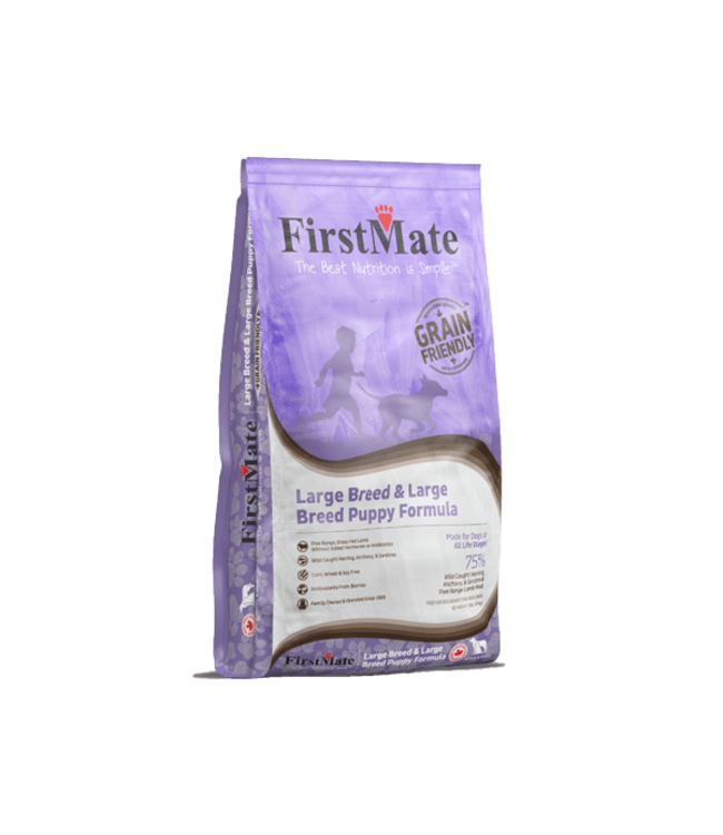 FirstMate Grain Friendly Large Breed Formula for Adult Dogs & Puppies