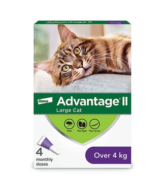 Advantage II for Large Cats Over 4kg 4pk