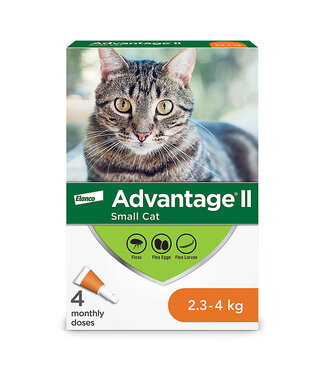 Advantage II for Small Cats 2.3 to 4kg 4pk