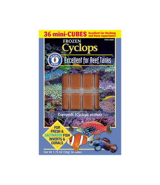 San Francisco Bay Brand Frozen Cyclops Cubes for Fish 50 g (1.75 oz)