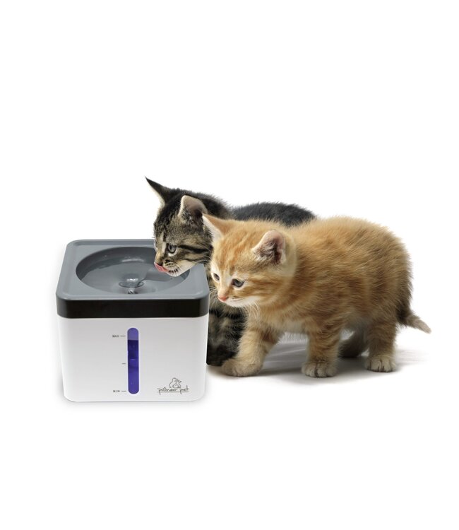 Pioneer Pet Mini Vortex Drinking Fountain for Cats and Small Dogs