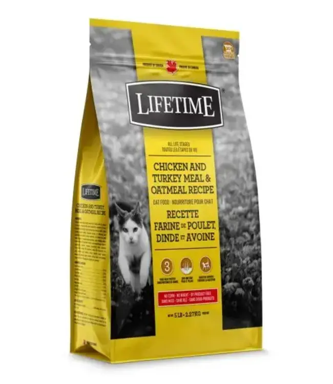 Turkey and oatmeal dog food top