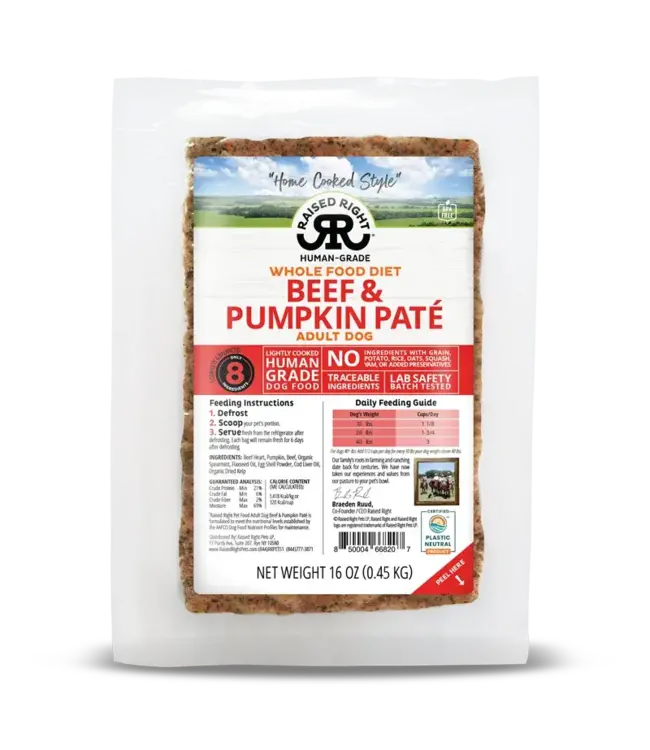 Frozen Pate Beef & Pumpkin for Adult Dogs 1 lb