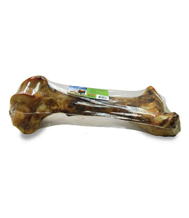 Bullsters Beef T-Rex Femur for Dogs (Approx. 16")