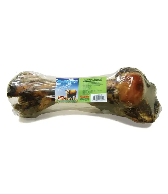 Bullsters Humungus Humerus Beef Bone for Dogs (Approx. 13") 878 g (31 oz)