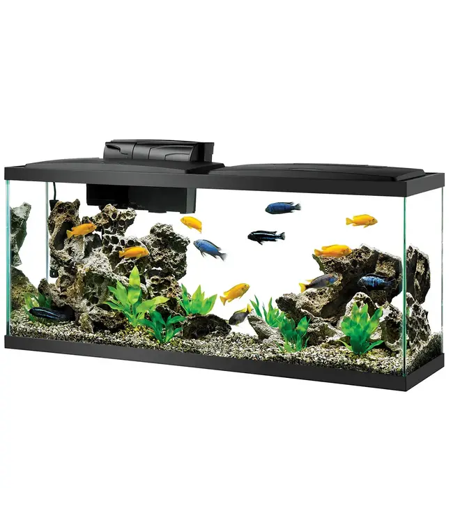 Aqueon 55 Gallon LED Aquarium Kit Southwest Pet London's Premier