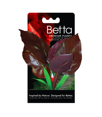 Fluval Betta Premium Red Lizard Plant 6 in (15 cm)