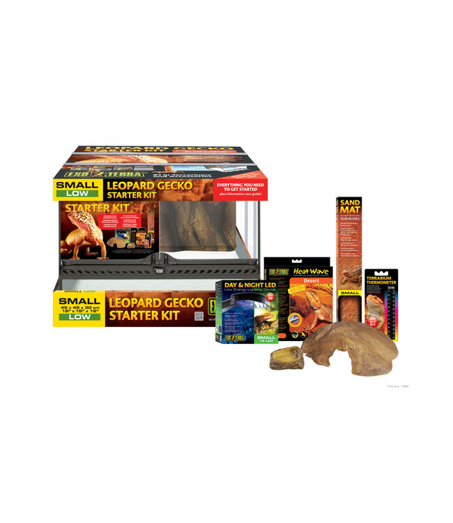 Gecko pet store sale