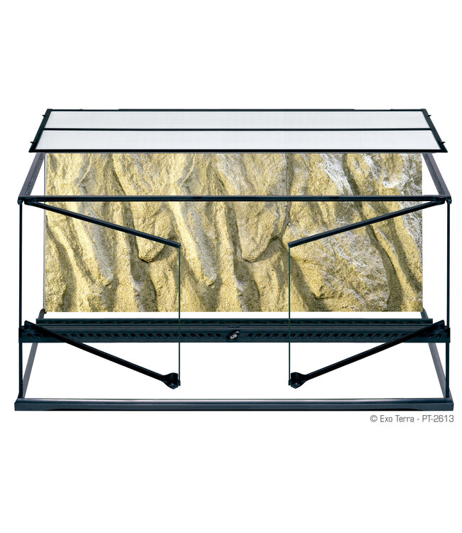 Exo terra hamster hotsell