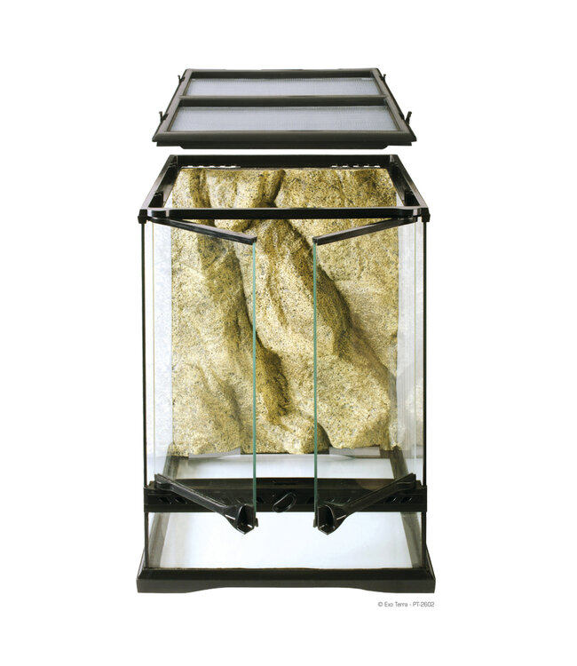 Exo Terra Terrarium Mini Tall 30x30x45cm (12in x 12in x 18in)