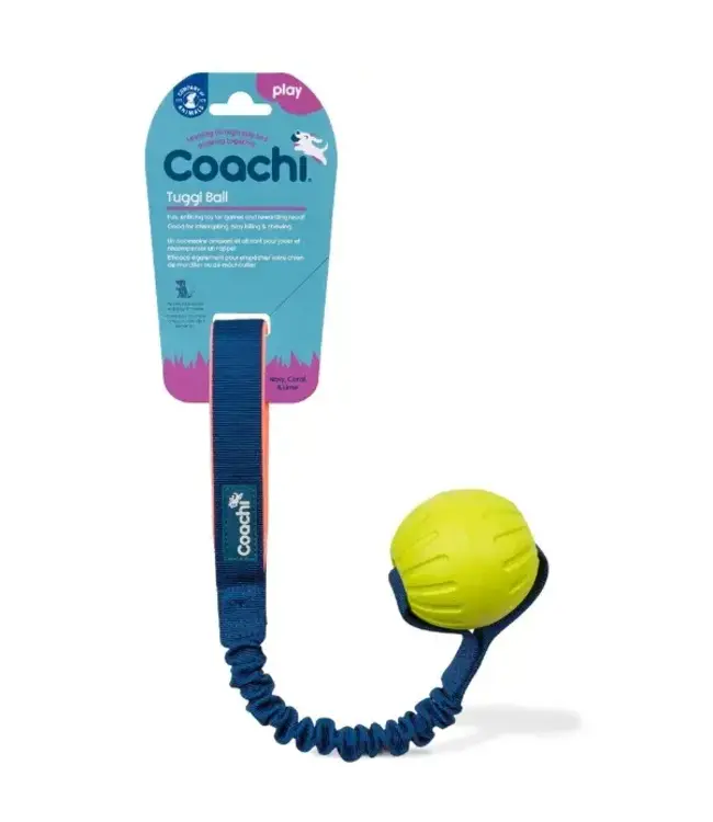 COA Coachi Tuggi Ball for Dogs - Navy, Coral & Lime