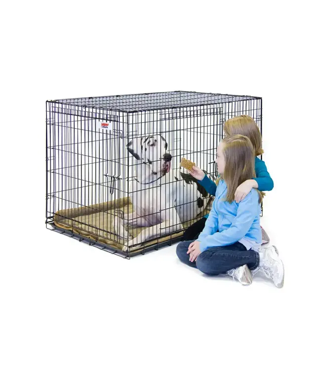 Tuff Crate TC700 Black Wire Crate with Divider for Dogs up to 200lbs (54in x 32in x 42in)