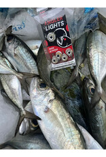 HAMMERHEAD SPEARGUNS (HHS) HHS, Angler Lights