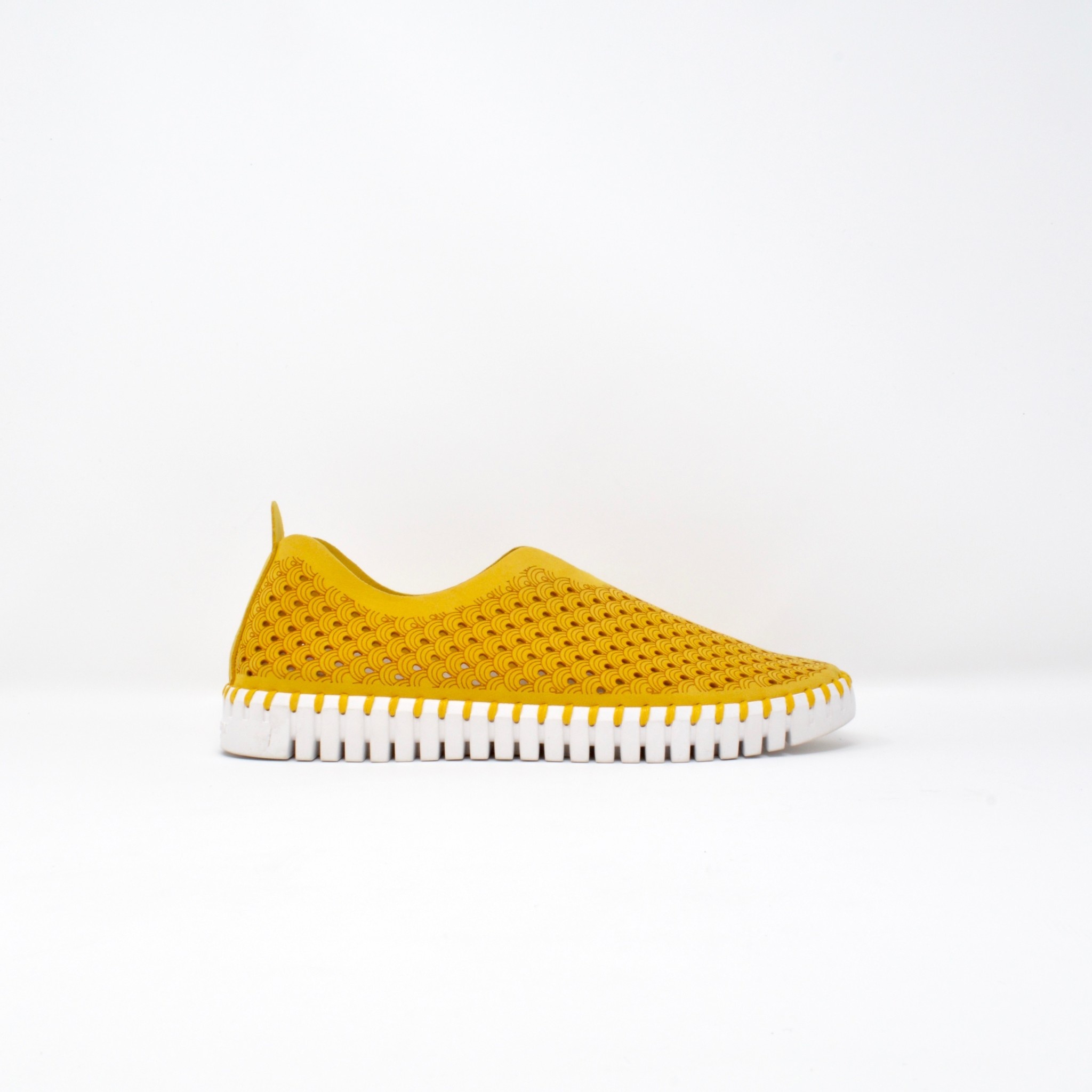 ooo112 　marihoja Abaca Lace Tulip ooo112 marihoja Abaca Lace Tulip Crochet Tulip | MARYJ HANDMADE