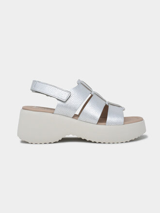 Wonders WONDERS D-9724 MAX PLATA