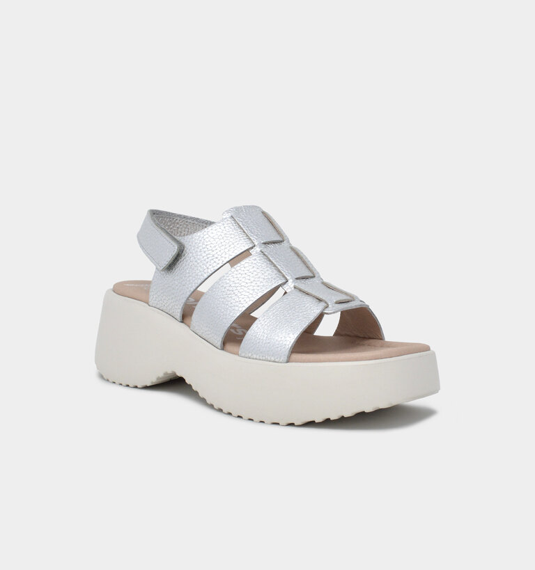 Wonders WONDERS D-9724 MAX PLATA